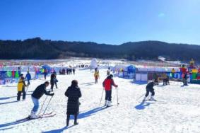 2020青岛元旦活动汇总 青岛欢乐冰雪季活动详情