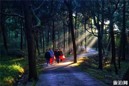 2023梓潼七曲山风景区旅游攻略 - 门票价格  - 开放时间 - 景点介绍 - 简介 - 交通 - 地址 - 天气