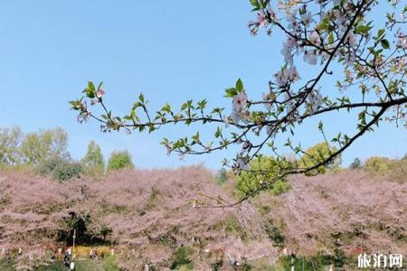 2023湖南省森林植物园旅游攻略 - 门票价格  - 开放时间 - 景点介绍 - 简介 - 交通 - 地址 - 电话 - 天气