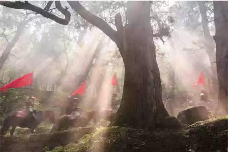 2023剑阁翠云廊旅游攻略 - 门票价格 - 开放时间