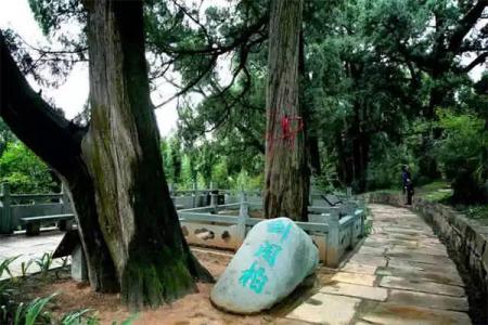 2023剑阁翠云廊旅游攻略 - 门票价格 - 开放时间