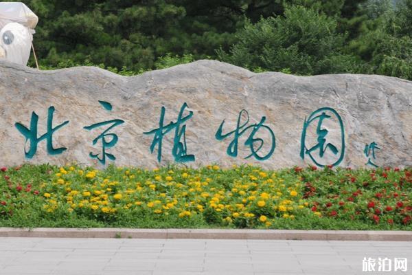 北京植物園地鐵幾號線 北京植物園地鐵哪站下