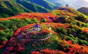 大围山国家森林公园门票+游玩指南