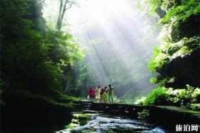 鼓城山七里峡游玩攻略-门票价格-景点信息