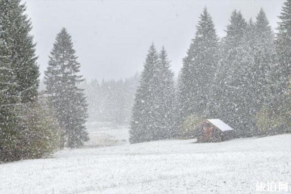 北部多地暴雪蓝色预警继续 雪天出行注意事项