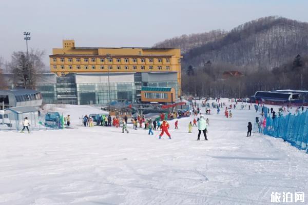 2020哈尔滨亚布力阳光滑雪场攻略