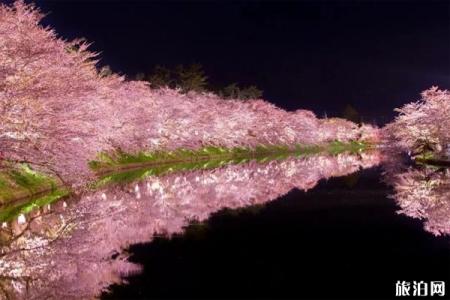 2020日本樱花季预测 2020日本樱花最佳观赏地点推荐