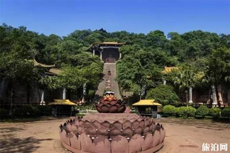 2023乐山东方佛都旅游攻略 - 门票 - 交通地址