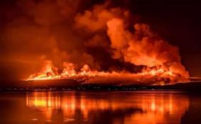 2020澳大利亚山火持续蔓延 2万只考拉死亡