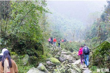 2023农夫山泉峨眉山工业旅游攻略 - 门票价格 - 开放时间 - 景点介绍 - 简介 - 交通 - 地址 - 天气