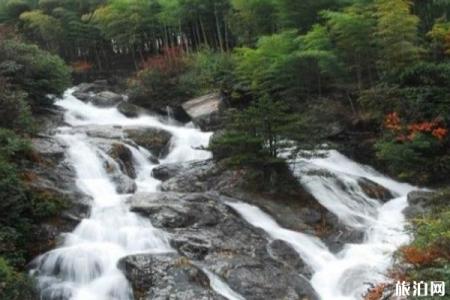2022天目山旅游攻略 - 门票 - 交通 - 天气 - 景点介绍