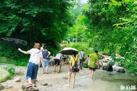 2023农夫山泉峨眉山工业旅游攻略 - 门票价格 - 开放时间 - 景点介绍 - 简介 - 交通 - 地址 - 天气