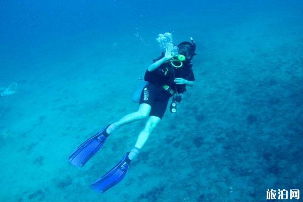 深海潜水一次大概需要多少钱