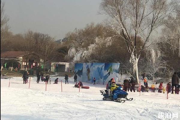 2020年北京玉渊潭公园冰雪节攻略