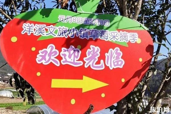 2020年洋溪文旅小鎮(zhèn)草莓采摘季時(shí)間-地址