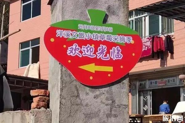 2020年洋溪文旅小镇草莓采摘季时间-地址