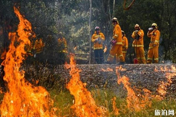 2020澳大利亚山火致中国公民被困 旅游环境受影响