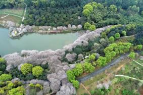 2020年湖南省植物园免费开放时间+年卡退费指南+游玩攻略
