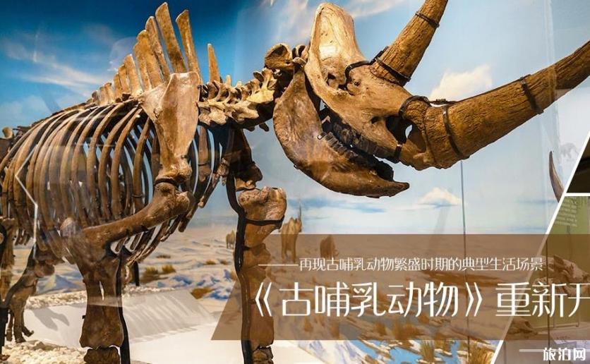 北京自然博物馆游玩攻略