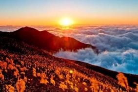 2020武功山景区寒假学生免票预约指南+锦绣江山湖南区域旅游年票购买攻略