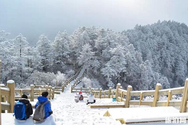 西岭雪山门票 旅游攻略