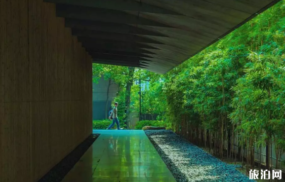 東京有哪些特色美術館