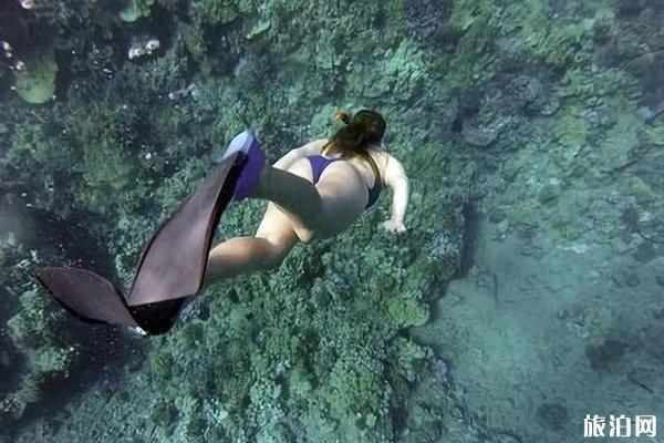 柬埔寨潜水最好的地方推荐