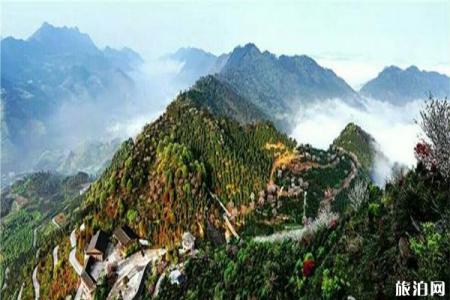 2022宜宾珙县龙茶花海旅游攻略 - 门票 - 地址