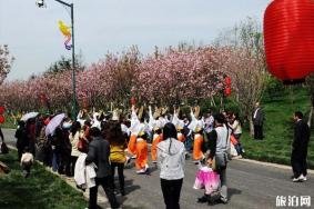 2020年春节成都庙会有哪些地方举行 时间-地点-门票