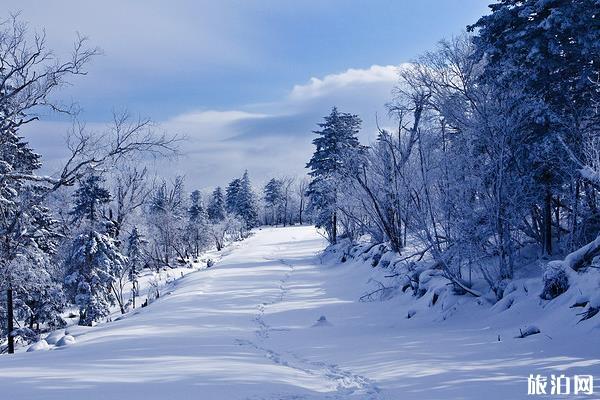 2020吉林北大壺滑雪場攻略-價格交通天氣預(yù)報