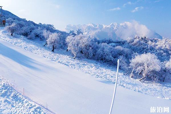 太子嶺滑雪場海拔高度多少米