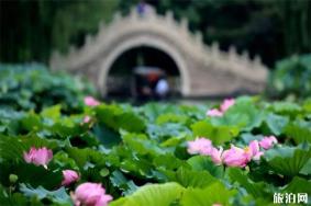 圆明园遗址公园年-月票怎么办理 2022什么时候可以办理