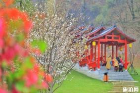 2020年长沙哪些地方会举行庙会活动 时间-地点-电话