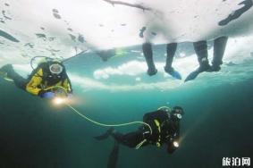 冰潜和普通潜水有哪些不同之处 参加冰潜需要什么条件