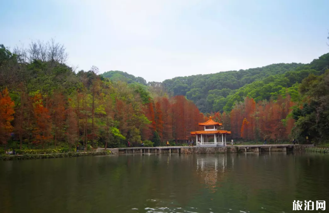 2020年春节仙湖植物园弘法寺限流时间人数 交通管制 预约入口及流程