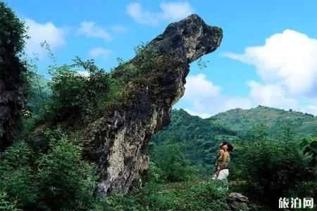 2023渠县賨人谷风景区旅游攻略 - 门票 - 交通
