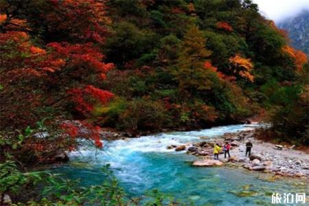2023雅安东拉山大峡谷游玩攻略 - 门票价格 - 开放时间 - 景区介绍 - 简介 - 交通 - 地址 - 天气