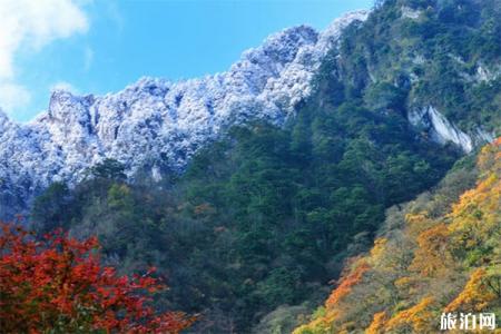 2023雅安东拉山大峡谷游玩攻略 - 门票价格 - 开放时间 - 景区介绍 - 简介 - 交通 - 地址 - 天气