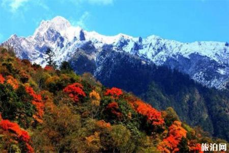 2023雅安东拉山大峡谷游玩攻略 - 门票价格 - 开放时间 - 景区介绍 - 简介 - 交通 - 地址 - 天气