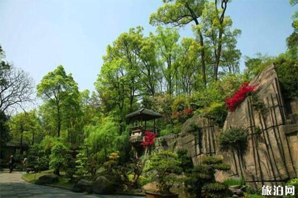重庆南山植物园2020春节相亲会活动 报名方式-郁金香花展