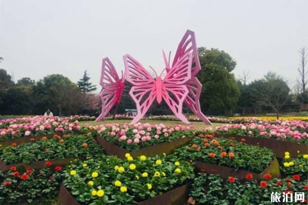 2020上海国际花展举办时间-地点-介绍