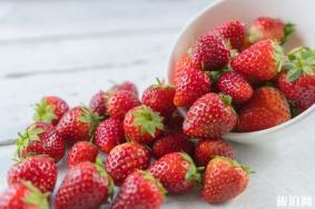上海松江区有哪些摘草莓的地方 地点-价格-电话