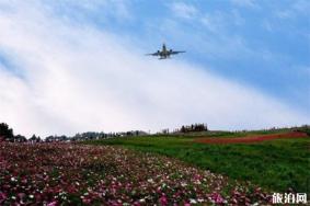 成都空港花田假日专线信息