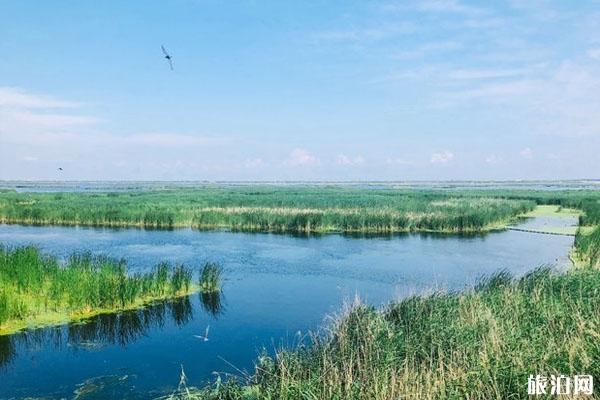 2022龙凤湿地旅游攻略 - 门票价格