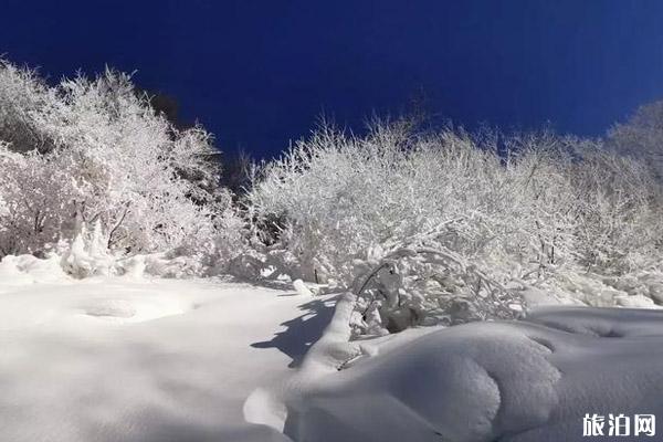 2020北京玉渡山冰雪節營業時間 門票和地點和活動介紹