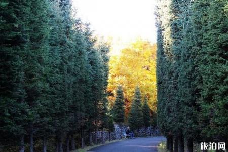 2022小兴安岭植物园旅游攻略 - 门票价格