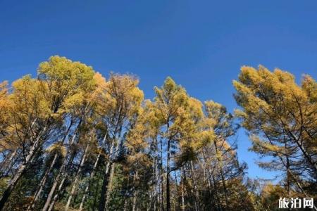 2022小兴安岭植物园旅游攻略 - 门票价格