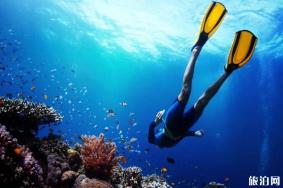什么是高氧潜水 有哪些利弊