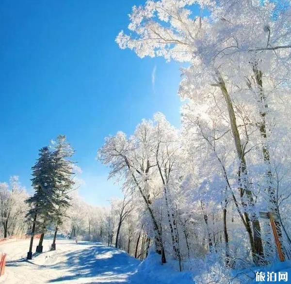 春節(jié)期間有哪些滑雪場值得去