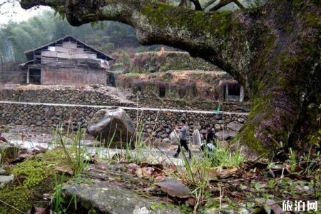 2022林坑村旅游攻略 - 门票 - 交通 - 天气 - 景点介绍